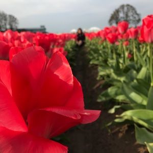 Meet your Posher, Nancy